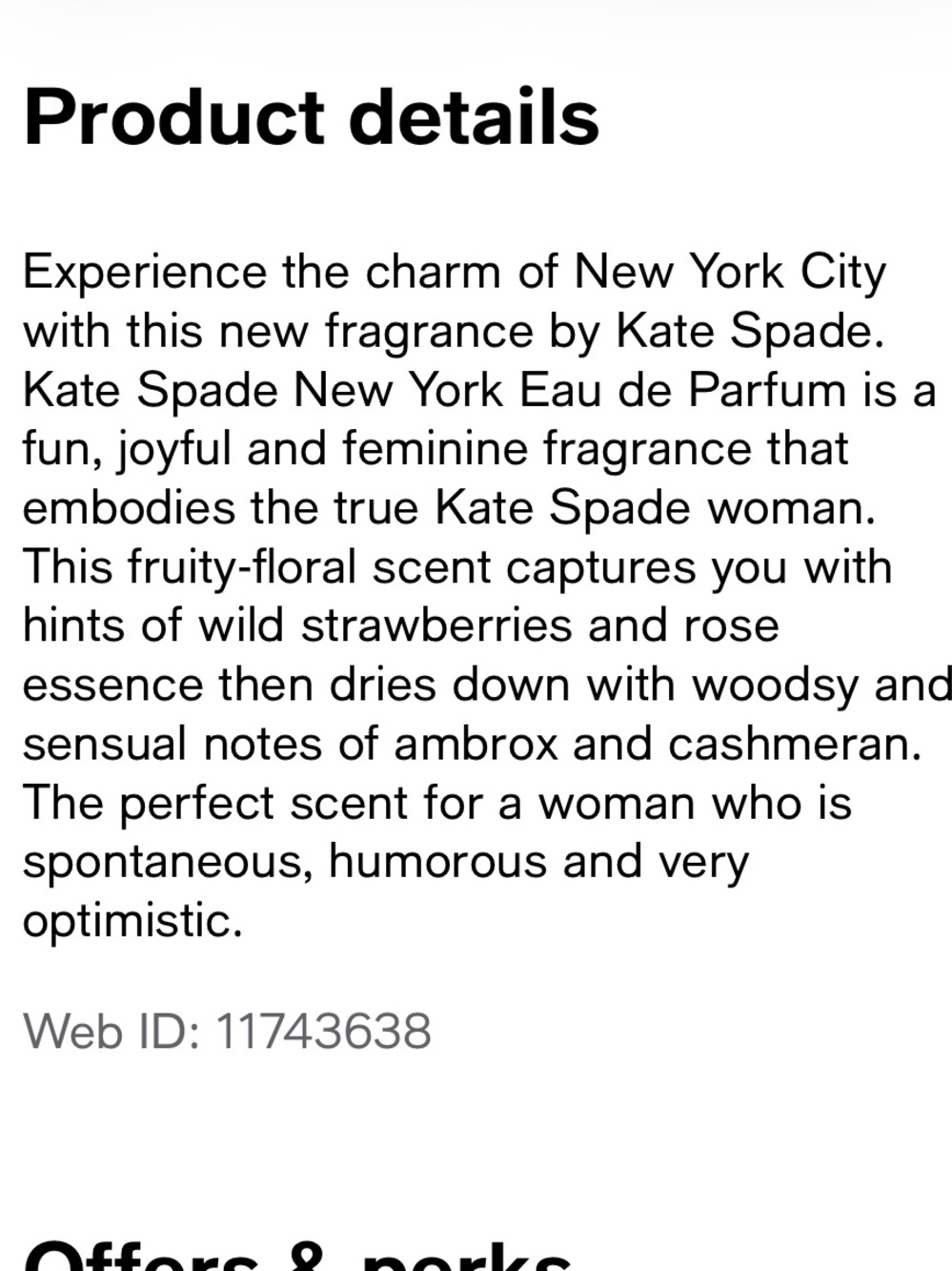 🎃 KATE SPADE - Picture 9 of 9